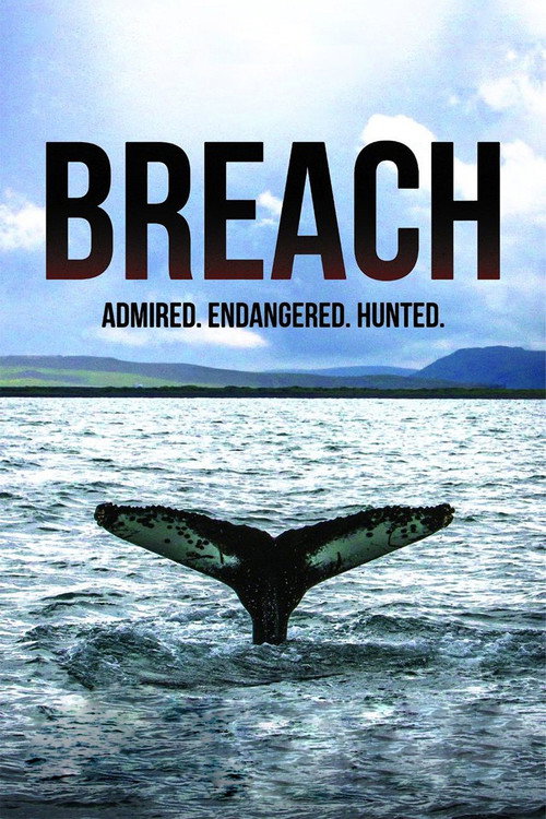 Breach (2015) poster