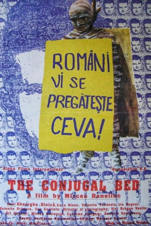 Patul conjugal (1993) poster