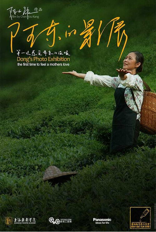 Dong's Photo Exhibition (2012) poster