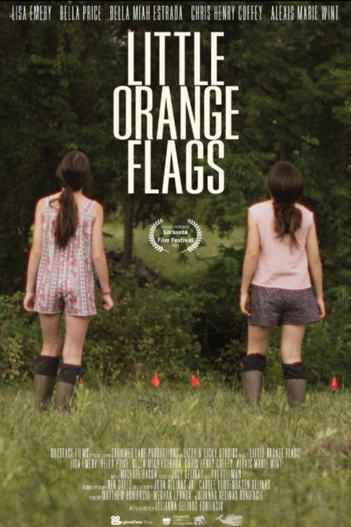 Little Orange Flags (2024) poster