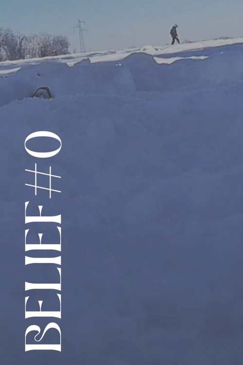 Belief#0 (2026) poster