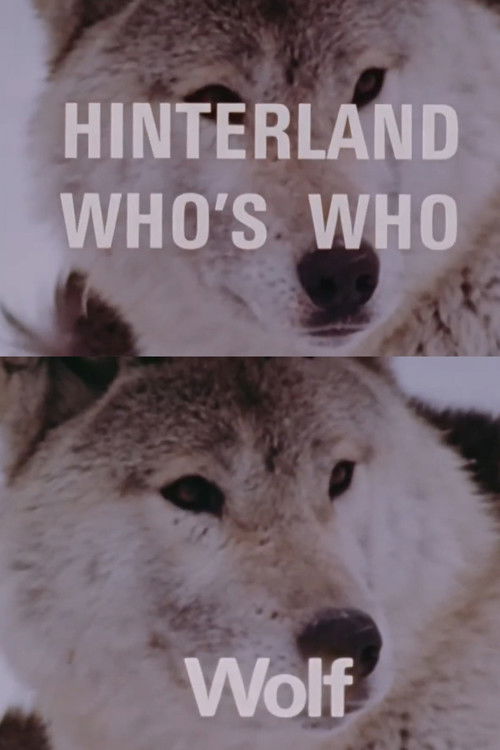 Hinterland Who's Who: Wolf (1972) poster