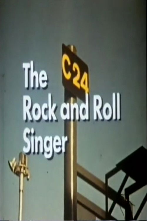 The Rock and Roll Singer poster