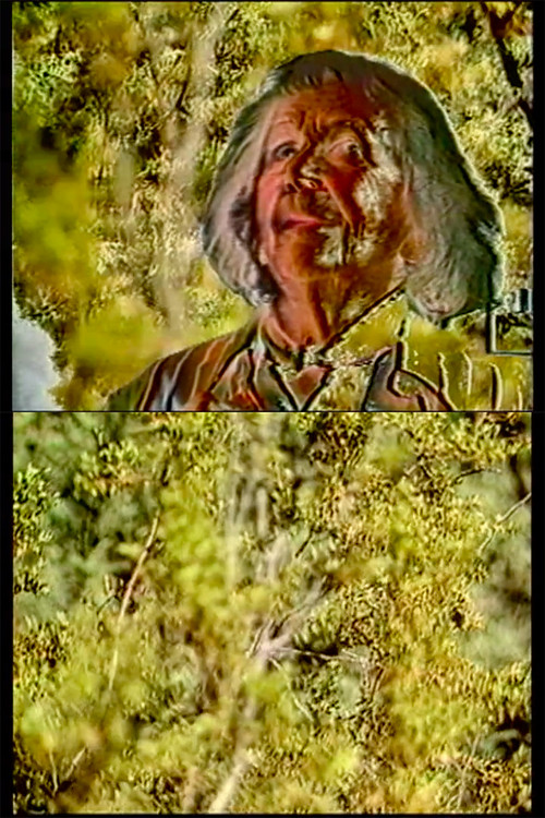 Lilith (1987) poster