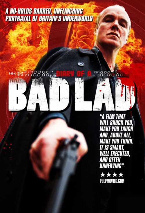 Diary of a Bad Lad (2010) poster