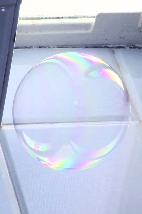 The Tenant (2010) poster