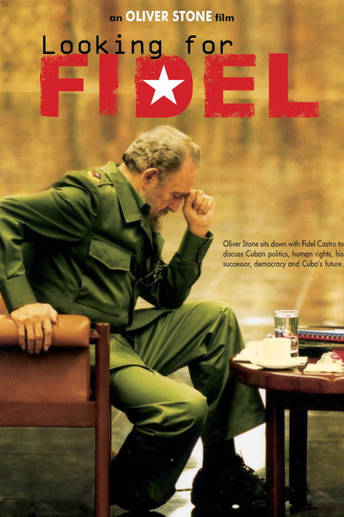 Looking for Fidel (2004) poster