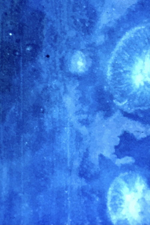 Biostoria 1 (1968) poster