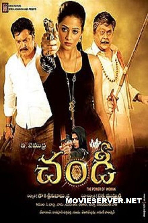 Chandi: The Power of Woman (2013) poster