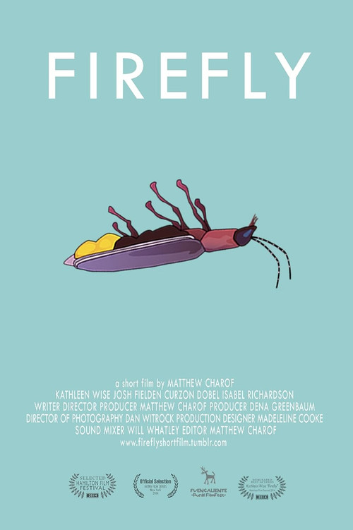 Firefly (2013) poster