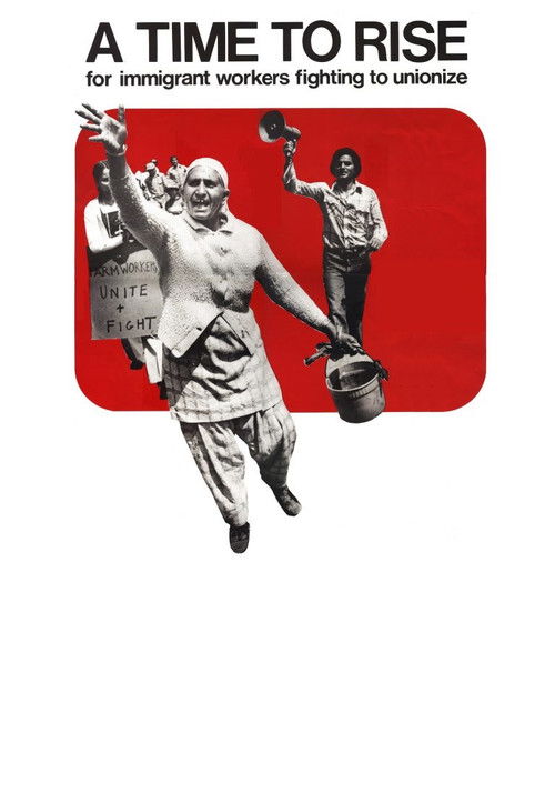 A Time To Rise (1981) poster