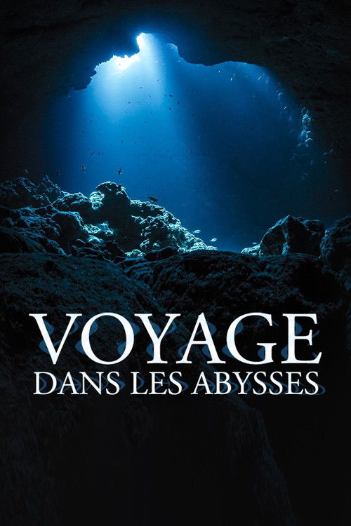 Voyage dans les abysses (2016) poster