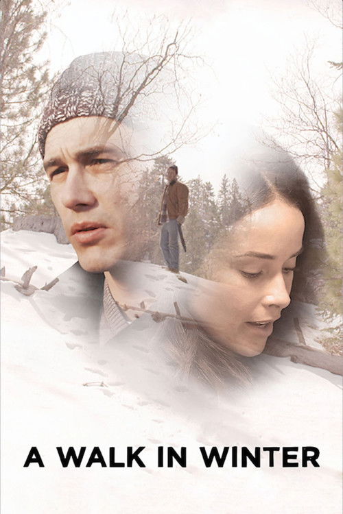 A Walk in Winter (2015) poster