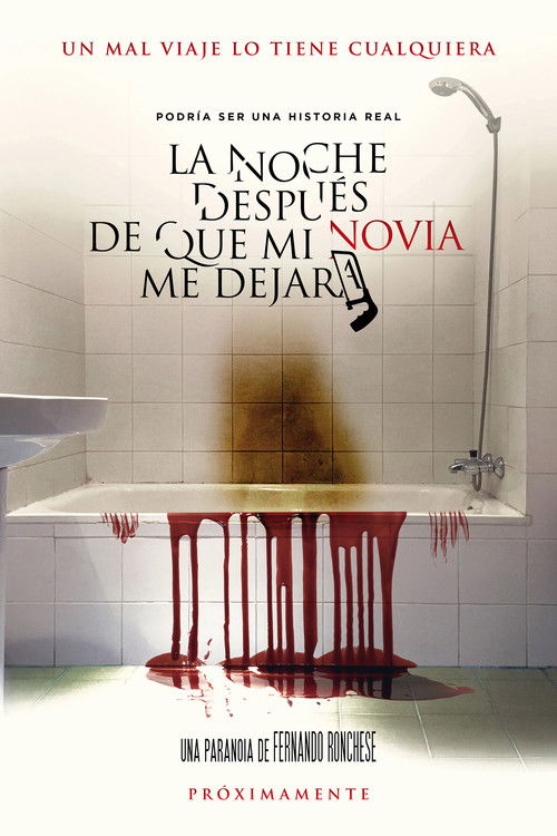 La noche después de que mi novia me dejara (2017) poster