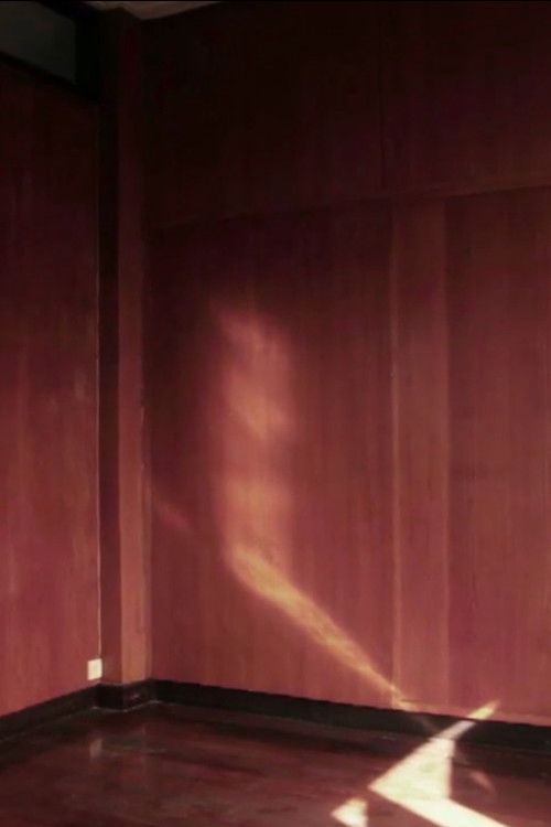 Passing Through the Night (2013) poster