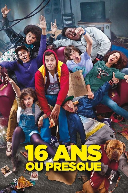 16 ans ou presque (2013) poster
