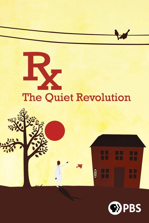 Rx: The Quiet Revolution (2015) poster