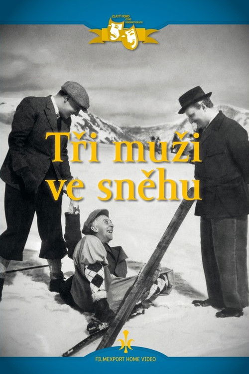 Three Men in the Snow (1936) poster