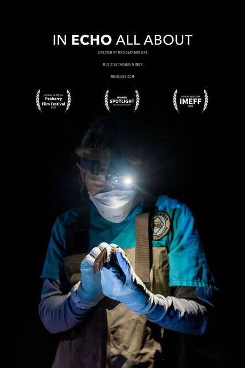 In Echo All About (2022) poster