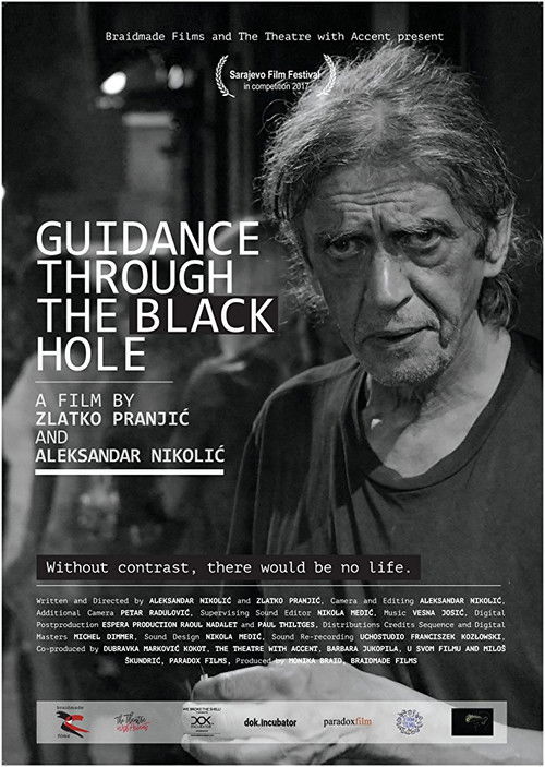 Guidance Through the Black Hole (2017) poster