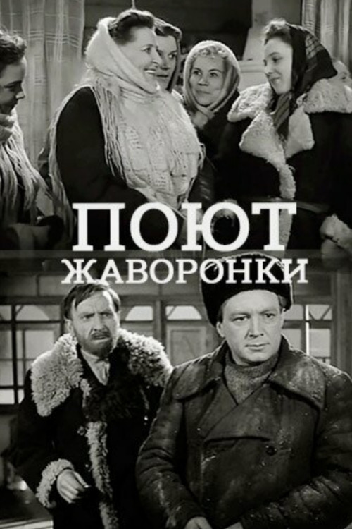 Поют жаворонки (1953) poster