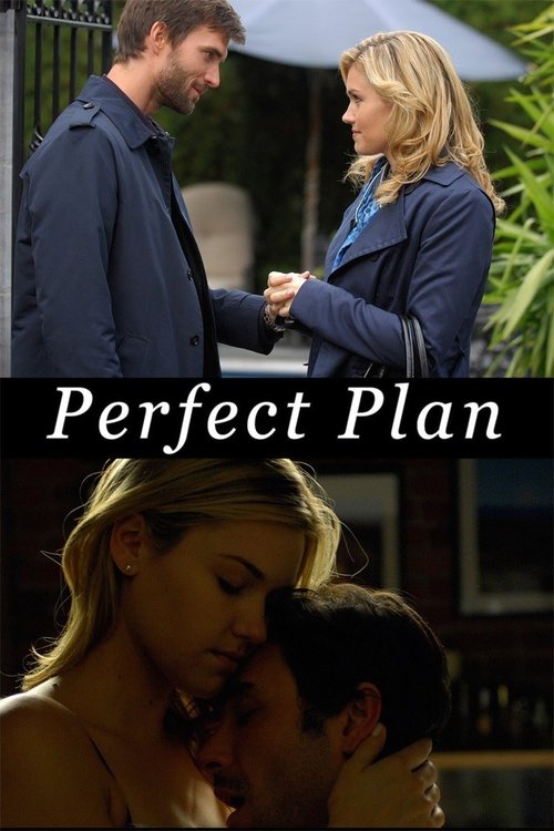 Perfect Plan (2010) poster