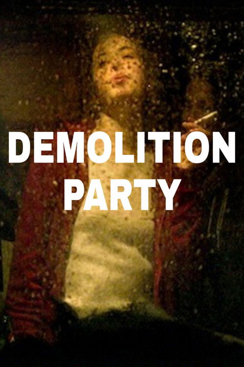 Demolition Party (2013) poster