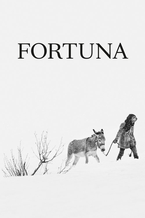 Fortuna (2018) poster