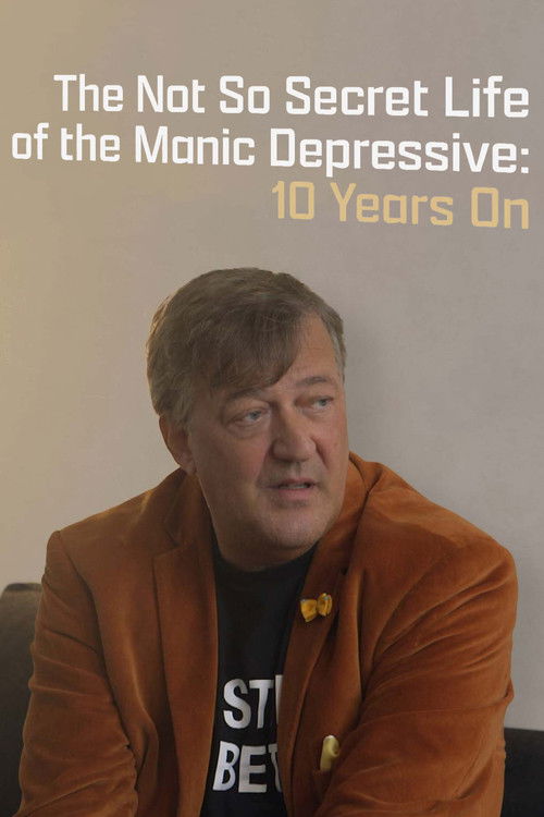 The Not So Secret Life of the Manic Depressive: 10 Years On (2016) poster