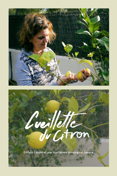 Cueillette du citron (2024) poster