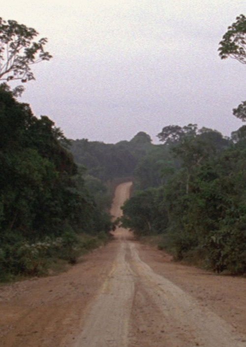 Travelling Amazonia (2006) poster