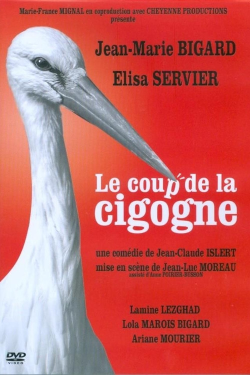 Le Coup de la Cigogne (2015) poster