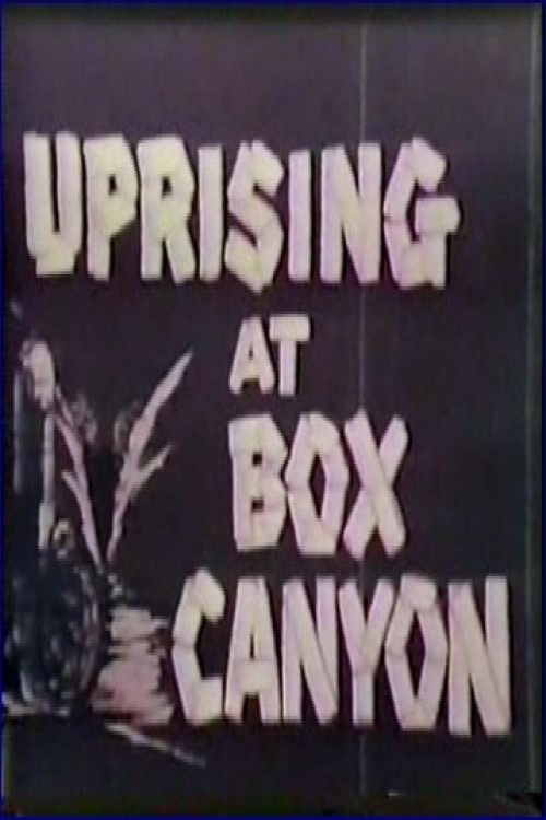 Uprising at Box Canyon (1972) poster