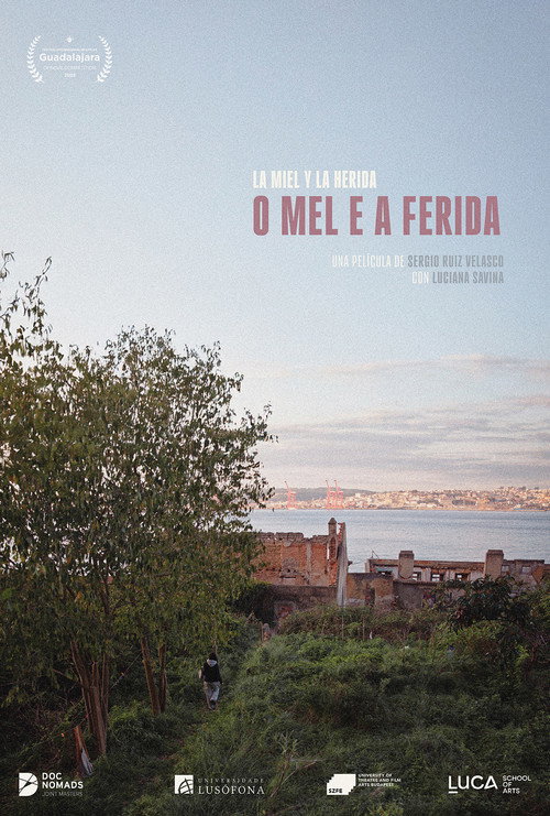 O mel e a ferida (2026) poster