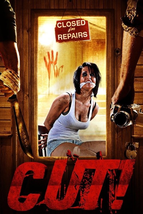 Cut! (2014) poster