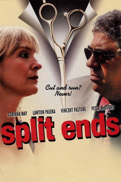 Split Ends (2009) poster
