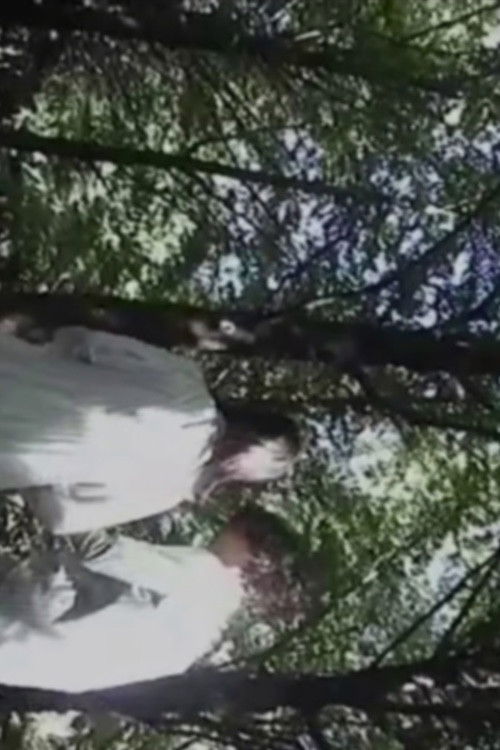 The Honeymoon Song (2005) poster