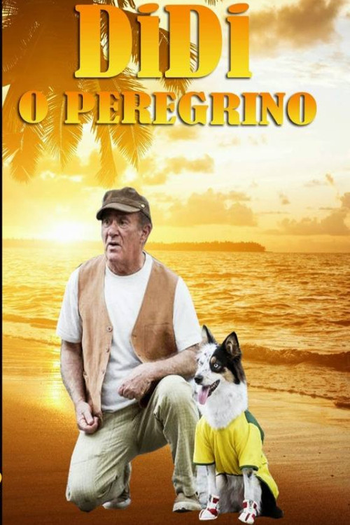 Didi, o Peregrino (2013) poster