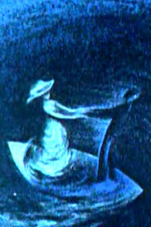 On the Beautiful Blue Danube (2011) poster