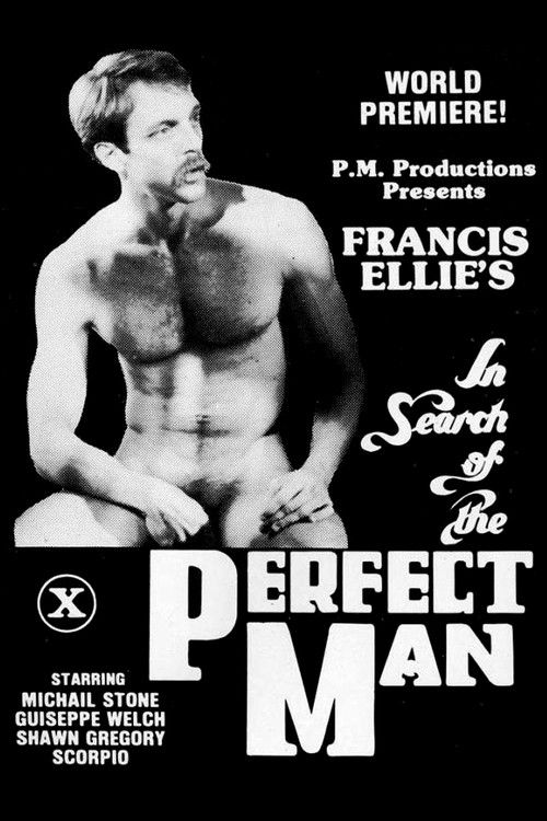 In Search of the Perfect Man (1980) poster