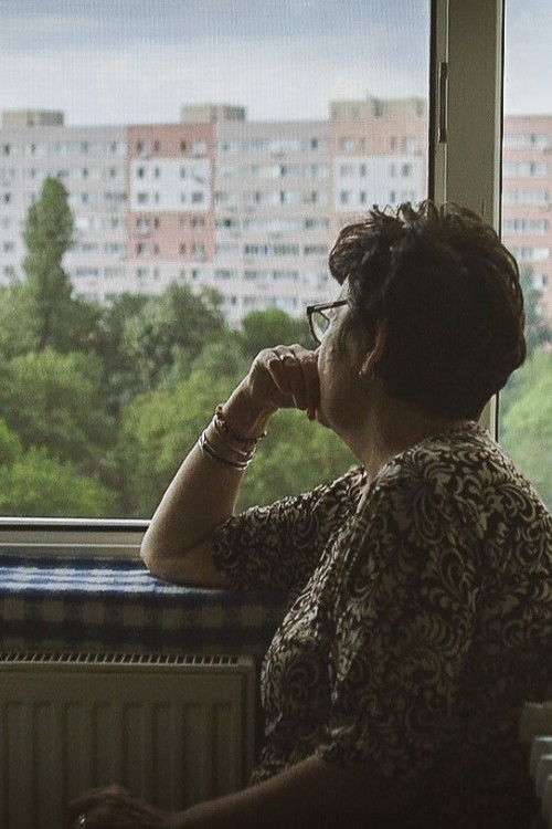 My Socialist Home (2021) poster