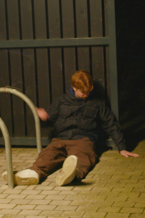 Unititled Hangout Movie (2025) poster