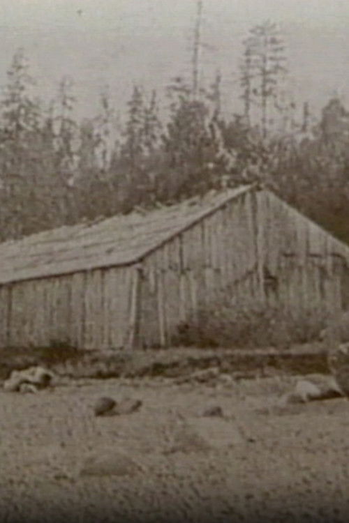 Seattle: Hidden Histories (1995) poster