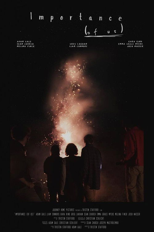Importance (of Us) (2018) poster