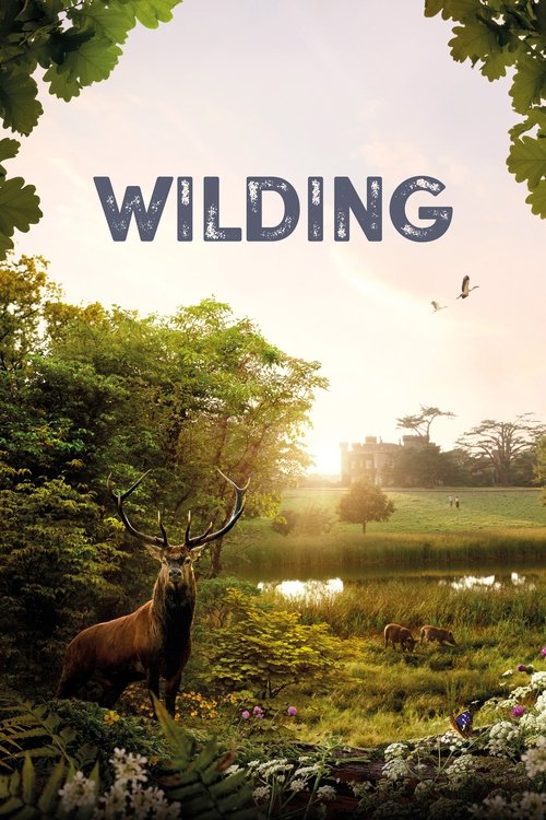 Wilding (2024) poster