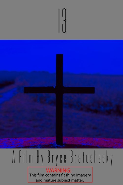 13 (2024) poster