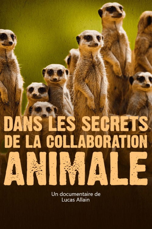 Dans les secrets de la collaboration animale (2021) poster