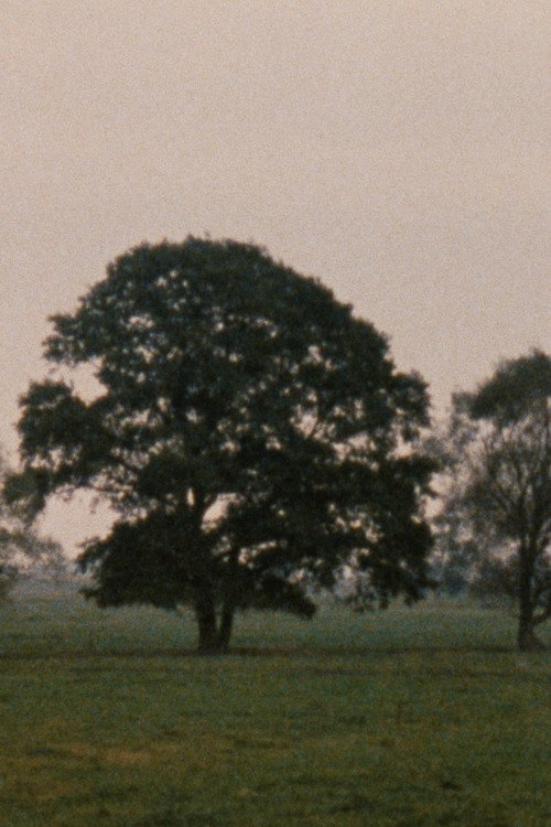 Leute mit Landschaft (1988) poster