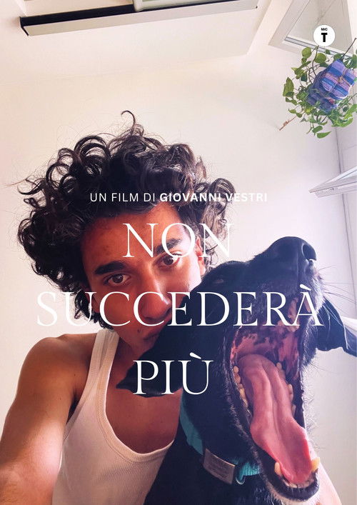 Non succederà più (2023) poster