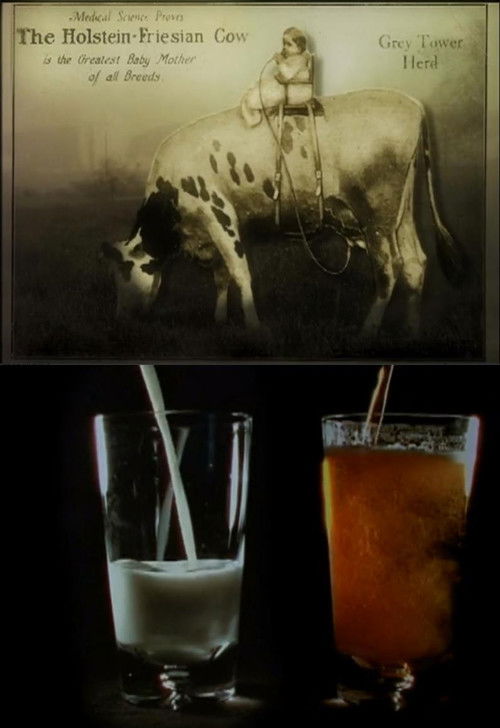 Notes on Milk (2007) poster